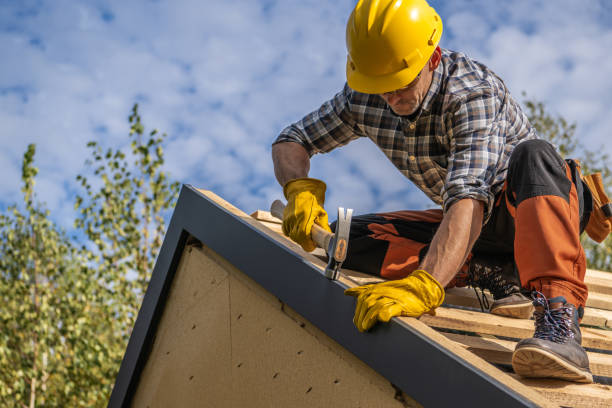 Best Roof Maintenance and Cleaning  in Butler Beach, FL